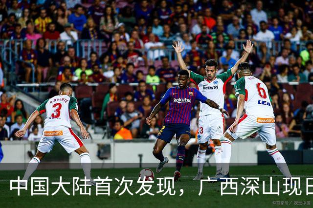 中国大陆首次发现，广西深山现"日本独有兰"，来源至今难解