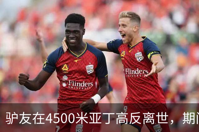 驴友在4500米亚丁高反离世，期间姐姐全网求免费直升机，牧民报价1万被她拉黑